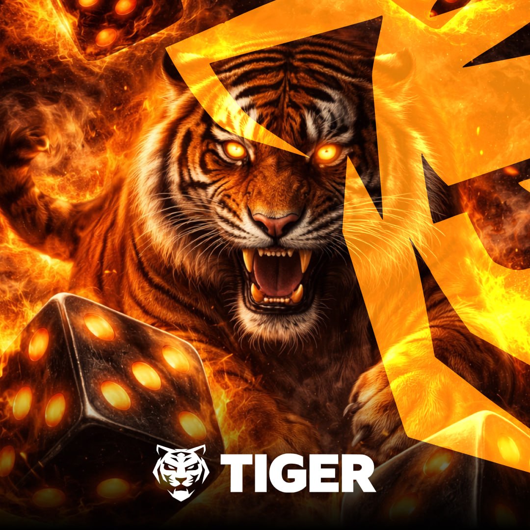 Тайгер Казино